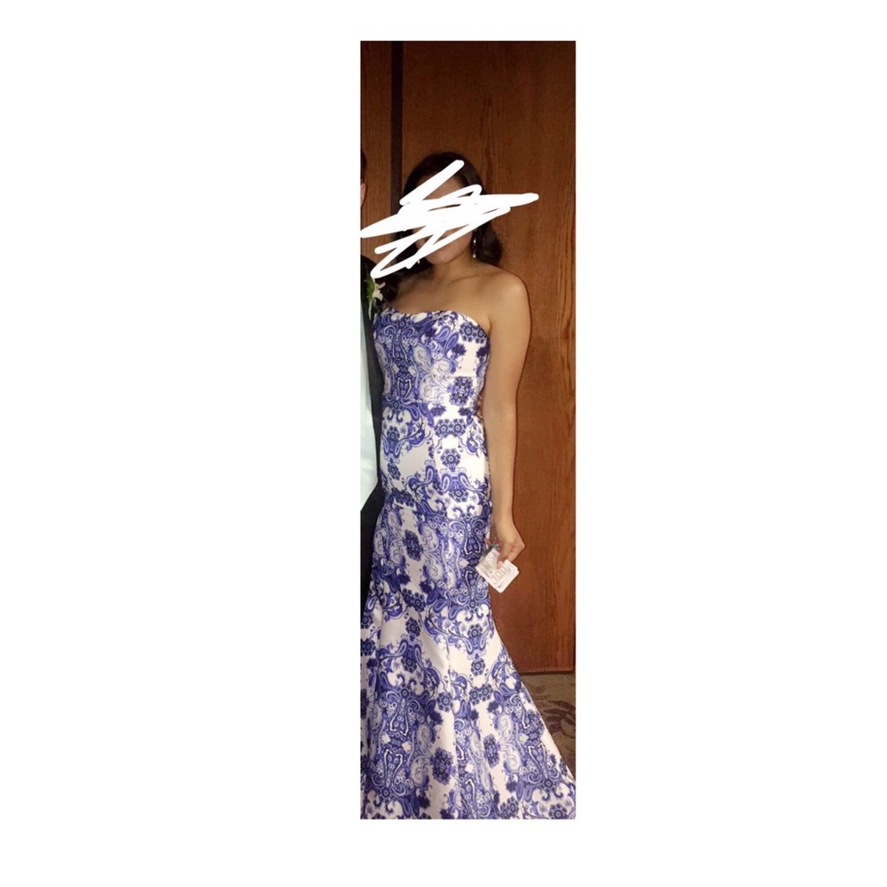 Blue and White porcelain dress